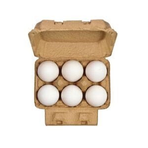 Fresh White Eggs 6 Piece