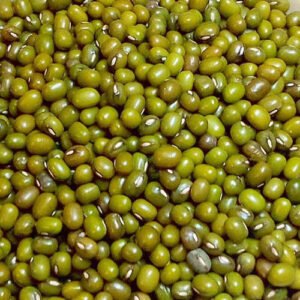 a grade indian origin nutrient enriched 98 pure dried whole moong dal 927